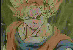 dbz12.gif